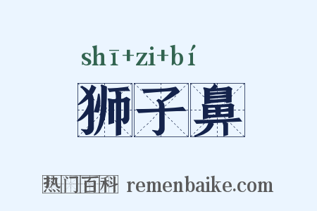 狮子鼻是什么意思的图片